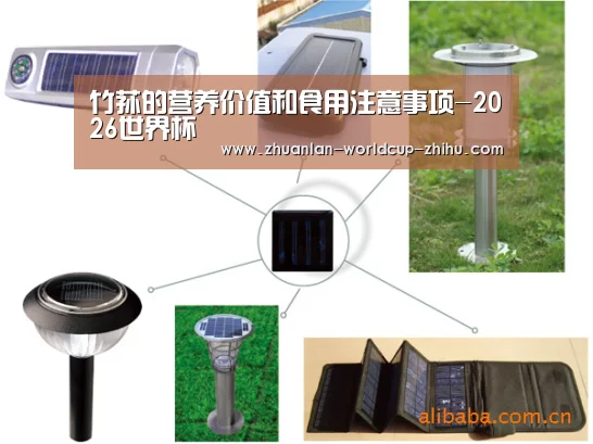 竹荪的营养价值和食用注意事项-2026世界杯(图2) 2026世界杯