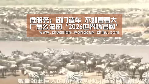 微服务:闭门造车 不如看看大厂怎么做的‘2026世界杯官网’(图3) 2026世界杯官网
