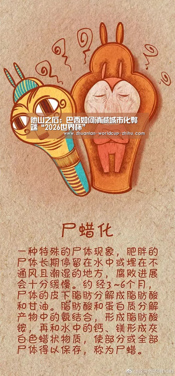 世界杯网站