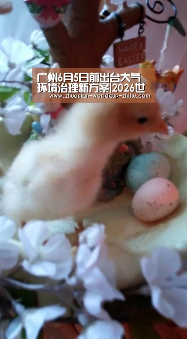 广州6月5日前出台大气环境治理新方案|2026世界杯(图1) 2026世界杯官网