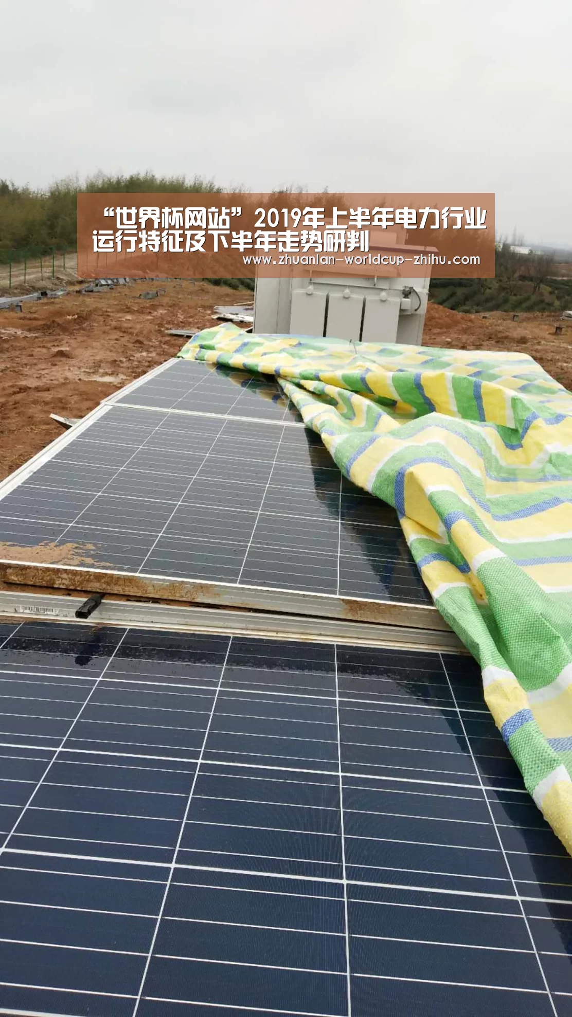 “世界杯网站”2019年上半年电力行业运行特征及下半年走势研判(图3) 2026世界杯