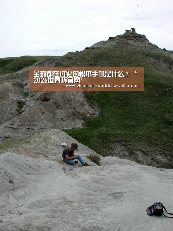 全球都在讨论的积木手机是什么?‘2026世界杯官网’(图1) 2026世界杯官网